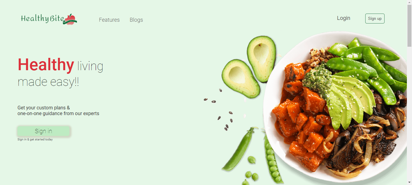 Healthy Bite website